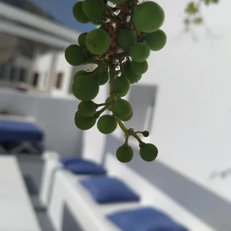 Rings Perissa (Santorini)